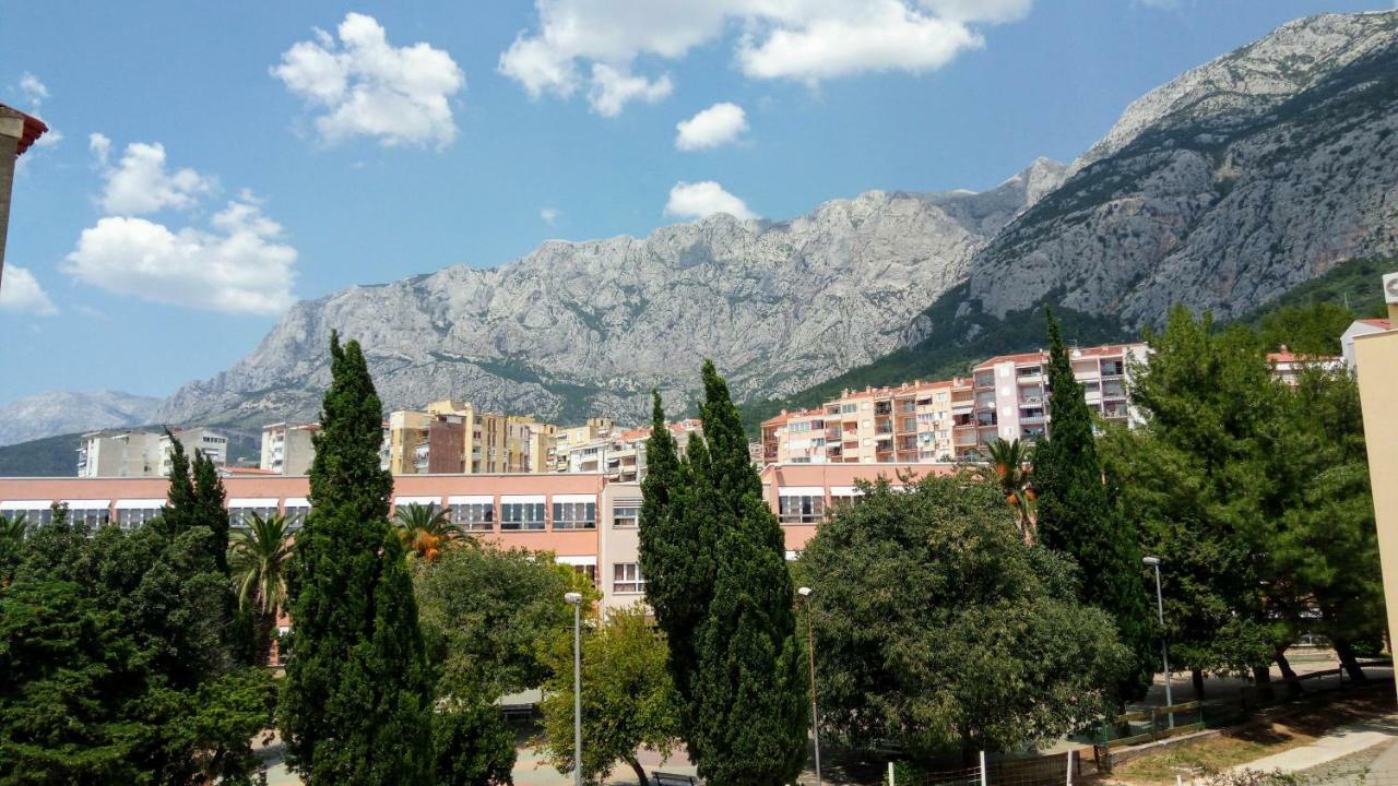 Apartment Davorka *